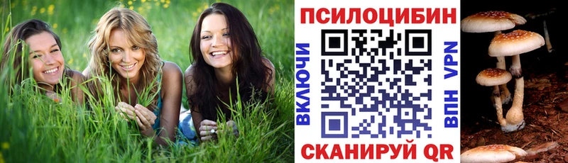 магазин  наркотиков  Краснообск  Галлюциногенные грибы MAGIC MUSHROOMS 